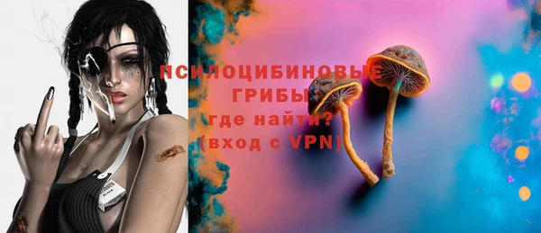 индика Алексин