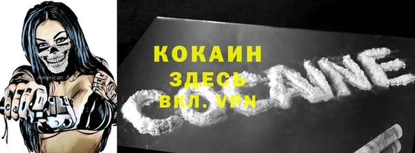 индика Алексин