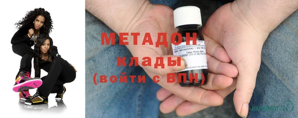индика Алексин