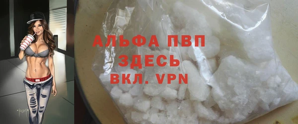 индика Алексин