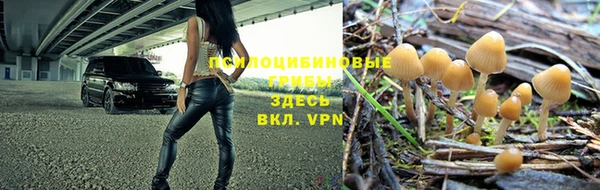 индика Алексин