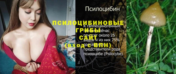 мяу мяу мука Алексеевка