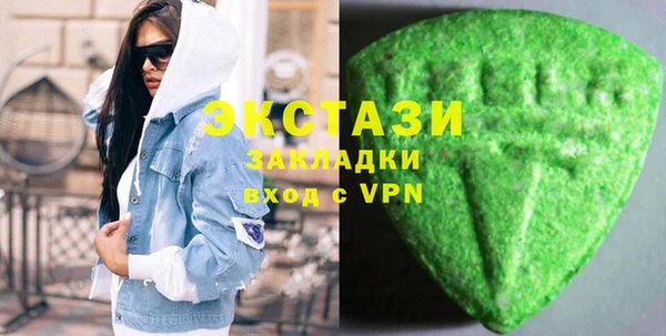 индика Алексин