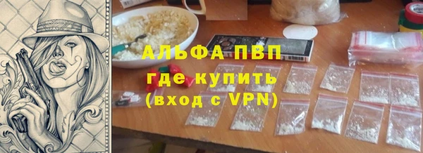 индика Алексин
