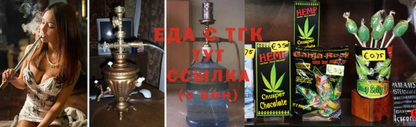 индика Алексин